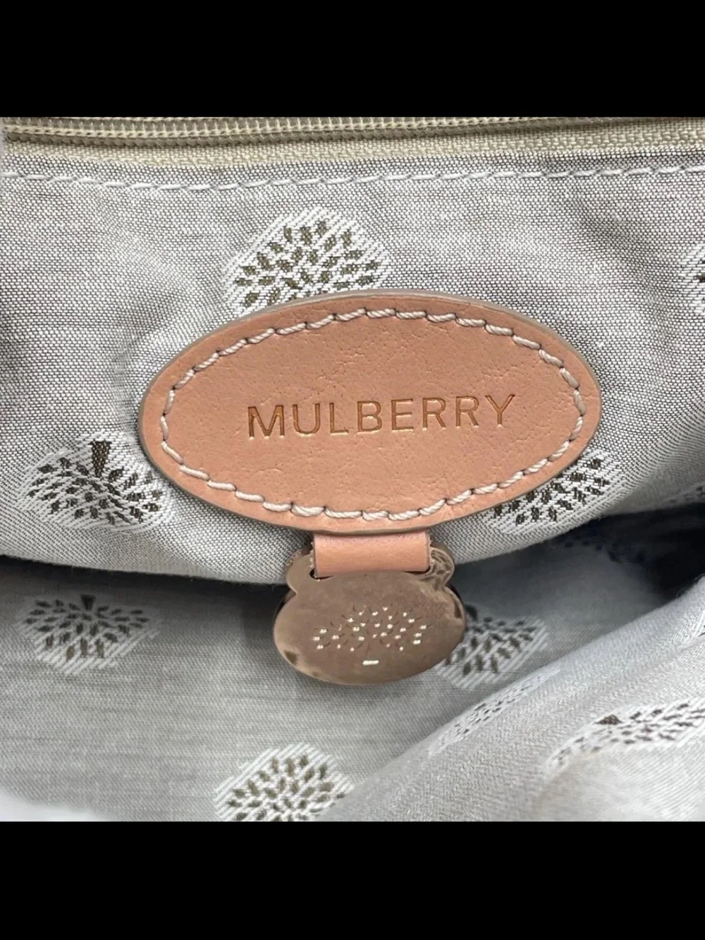 Mulberry Blush Pink Leather Satchel with Gold Hardware